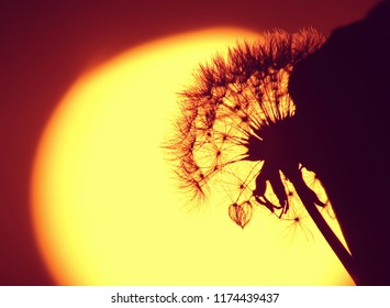 The sun is down