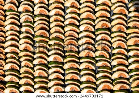 sun dried areca nut background