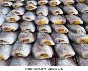 Sun dried snakeskin fish, selective focus. Snakeskin gourami (Trichogaster pectoralis)