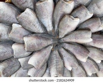 Sun dried snakeskin fish, selective focus. Snakeskin gourami (Trichogaster pectoralis)