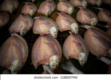 Sun Dry Of Mullet Fish In Prachuap Khiri Khan Southern Of Thailand