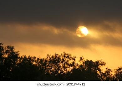 Sun Emerging From Clouds Over Silhouetted Trees At Sunset