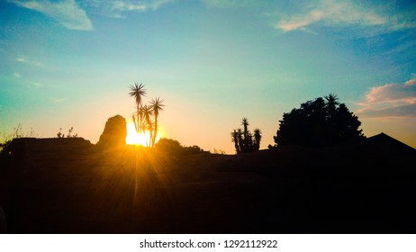 Sun In The Farwest, Cactus And Clouds.