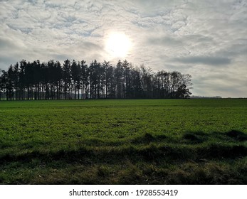 sun at a field with trees