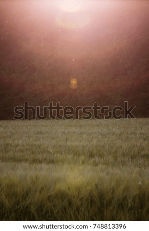 Similar – 700 X released to freedom|tree silhouette in foreground, red hot air balloon floating in evening sky