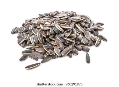  Sun Flower Seed Seeds Isolated On White Background