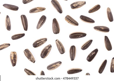 Sun Flower Seeds Isolated On White Background