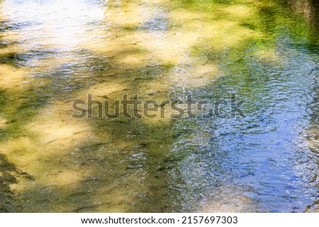 sun glare on the wavy surface of the water against the background of the sandy bottom.