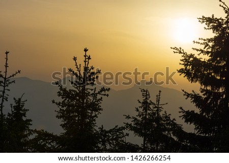 Sun going down behing the forest