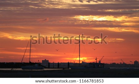 The sun is going down. Melbourne. Scenery. 