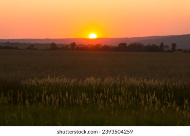 The sun going down over the field