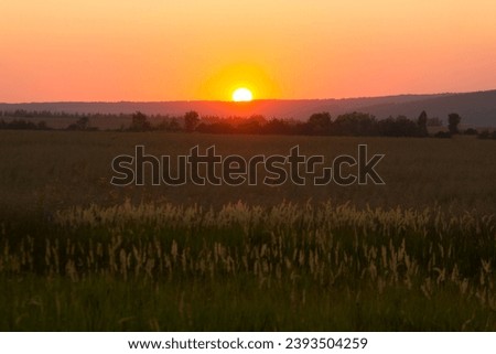 The sun going down over the field