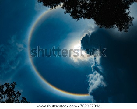 Sun Halo with cloud and tree