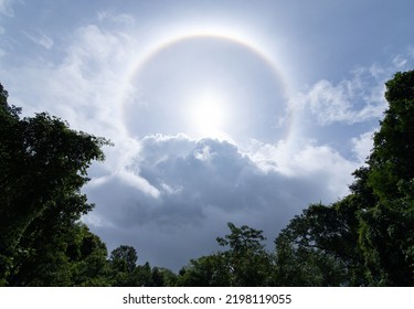 Sun halo in daylight time of nature in wild forest - Shutterstock ID 2198119055