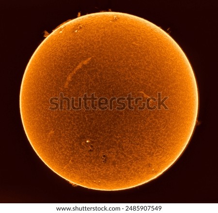 The Sun inverted in the Hydrogen Alpha spectrum. We have many active regions, a few filaments racing across the surface, and many prominences on the edges. 
