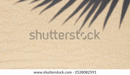 Sun light Sand and Leaf Shadows, Summer Bliss