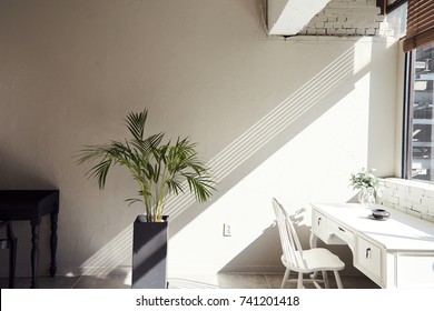 Sun Light Wall Plant Desk Room