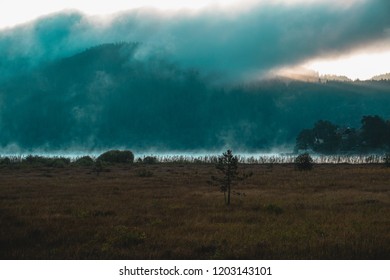 sun lights through the clouds