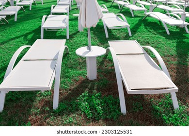 Sun loungers on the green grass . Beds on the lawn in summer