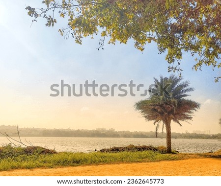 Sun on the background with a view of lake along with Palm trees. best place for a morning walk