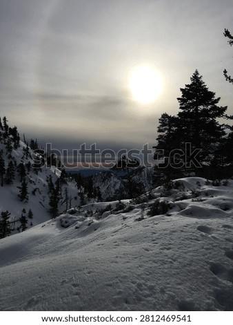 Sun Over Snow Covered Mountain Landscape With Evergreen Trees And Halo