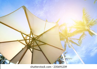 Sun Parasol Under Coconut Trees Against Blue Sky On A Very Hot Day.