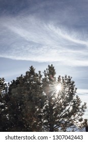 The Sun Is Peaking Through The Tree Branches Making A Star Shape During High Noon Sun. Dark, Clean, Blue Sky With Shite Shaped Clouds. 