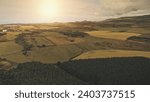 Sun pine forest, cereal fields aerial. Nobody nature landsape. Countryside farmland meadows, valleys. Cinematic farm pastures at summer sunny day. Ellen port, Islay Island, United Kingdom, Europe