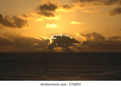 sun putting  