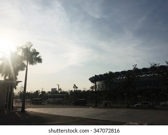 Sun Rays