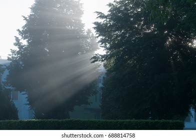 sun rays - Shutterstock ID 688814758
