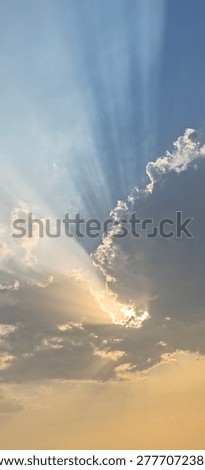sun rays in a beautiful evening