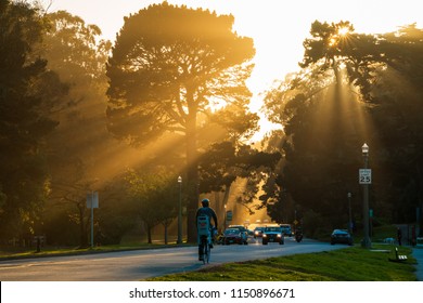 Sun rays bouncing off the trees