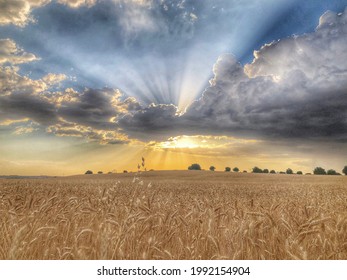 sun rays breaking through the clouds over wheat field