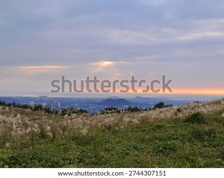 Sun rays breaking through clouds over silver grass fields at sunset in Jeju Island, South Korea. A peaceful volcanic hill landscape with a glowing orange horizon and distant countryside view.