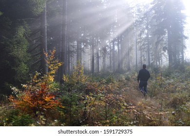 Sun rays breaking through morning fog
