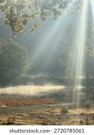 Sun rays breaking through tree branches on a foggy morning in the countryside. Misty light in nature. Peaceful and quiet atmosphere.