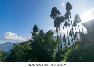 Sun rays coming through green forests of Himalayan mountains, Okhrey, sikkim, India. Okhrey village is remote place in Sikkim where peaceful, tranquil Himalayan mountain range is enjoyed by tourists.