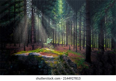Sun rays in a dark forest. Sunbeam forest shadows. Shadows in sunbeam forest. Forest sunbeam background