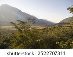 sun rays effect trees mountain valley