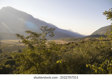 sun rays effect trees mountain valley