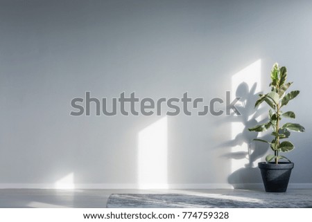 Similar – Image, Stock Photo Lobby Interior design