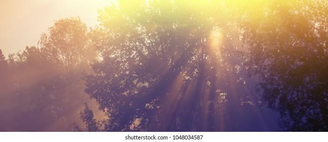 sun rays in the morning mist. Spring season, in the countryside. Panoramic and web banner format.