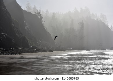 Sun Rays On Cannon Beach