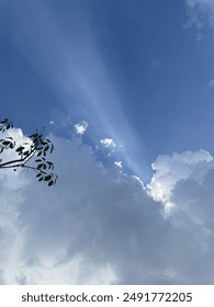 Sun rays on the cloud above tree shilouette.