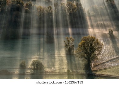 Sun rays over the forest