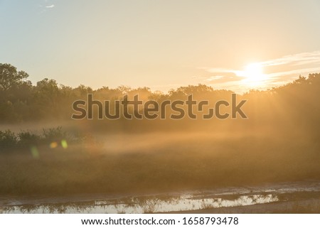 Sun rays over wet land misty morning landscape at nature trail near Dallas, Texas, America. Summer foggy landscape with sunrise warm light backlit behind woody tree lush. Natural background.