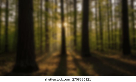 Sun rays pierce forest canopy Woodland light.