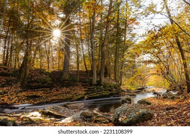 Sun Rays seen through Trees in Autumn, sun star visible through trees with yellow and orange foliage in background with tranquil stream running through rocks