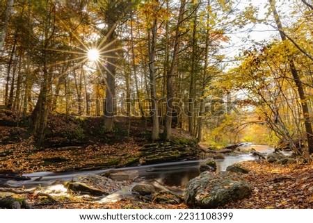 Sun Rays seen through Trees in Autumn, sun star visible through trees with yellow and orange foliage in background with tranquil stream running through rocks